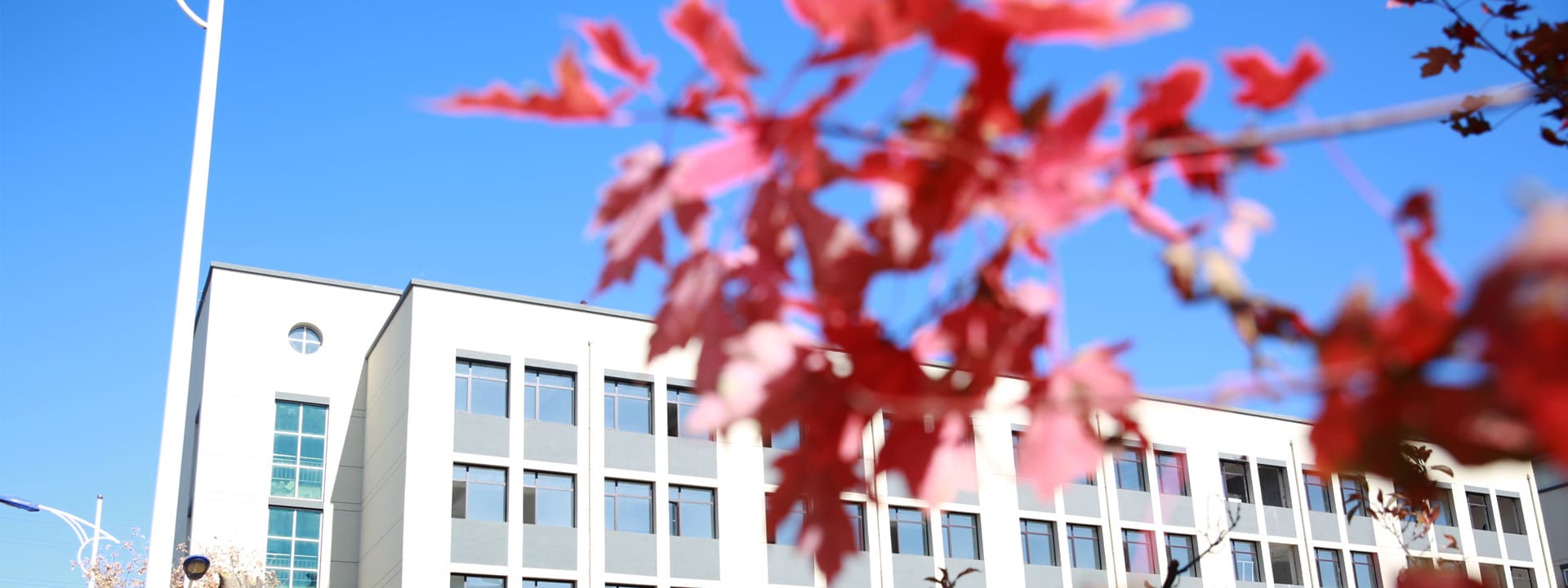 杏林学院教学楼